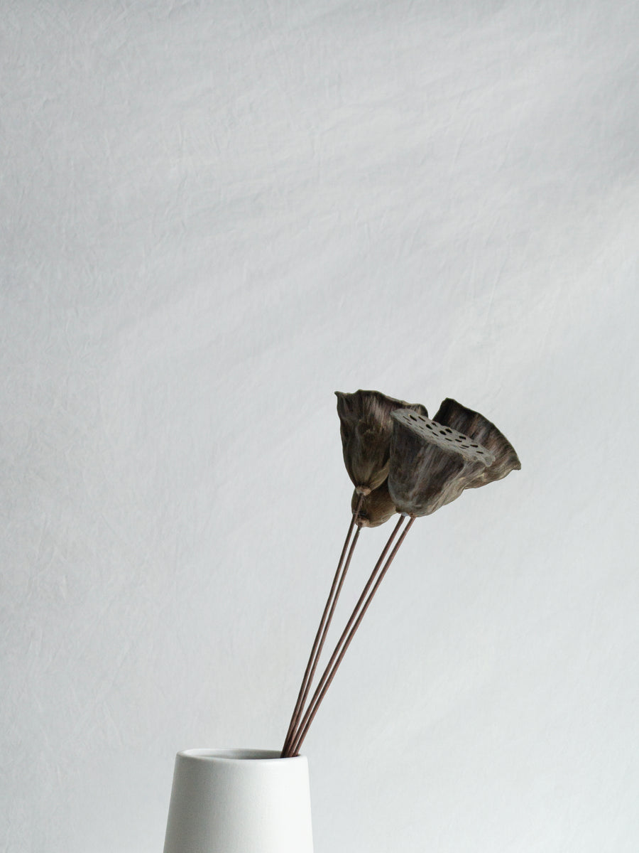 Lotus Pods - S Size – Wandering Willow NZ